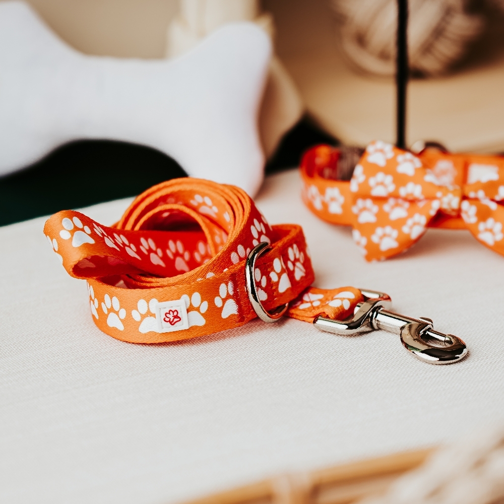Orange Paw Print Dog Leash